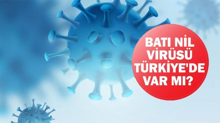 Batı Nil virüsü Türkiye’de var mı? Sağlık Bakanlığı’ndan Batı Nil Virüsü Açıklaması!