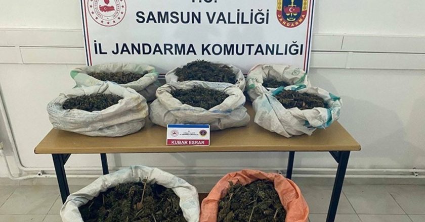 Ormandaki çadırda 8,5 kilo esrar ele geçirildi – Son Dakika Türkiye Haberleri