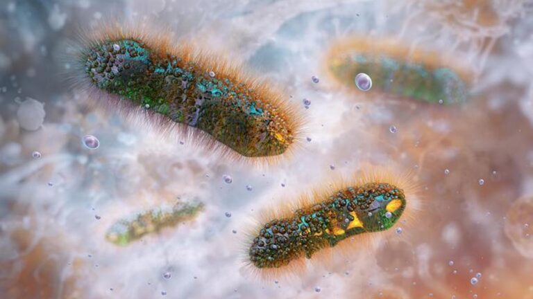 Dizanteri belirtileri nelerdir? Dizanteri Nasıl Anlanır? Dizanteri tedavi yöntemleri nelerdir?