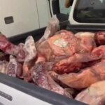 Şok Yolu Şok Yolu Uygulaması Şanliurfa’daki Gendarmerie: Bozulmuş yasadışı et ve binlerce ürün ele geçirildi: son dakikanın haberleri Türkiye