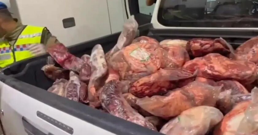 Şok Yolu Şok Yolu Uygulaması Şanliurfa’daki Gendarmerie: Bozulmuş yasadışı et ve binlerce ürün ele geçirildi: son dakikanın haberleri Türkiye