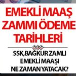 Preziosa Farkı 4A, 4B, 4C Gezi Tarihi 2025 | SSK, Bagkur, sosyal güvenlik zamanındaki fark için emeklilik maaşı yatağa gidecek, yatacak, ayın kaçına verilecek? SSI Tahsis Numarasına Göre Günler Emeklilik Emekli Çekimi!
