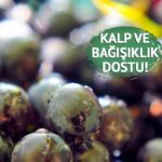 Binlerce yıllık bir iyileşme kaynağı: Yorgunluğu azaltır, kan basıncını düzenler! Faydalar sayımı sona erdirmez