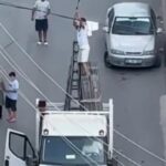 Minibüs için elektrik kablosuna bağlı güvercini kurtardı