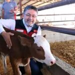 Bakan Yumakli: Ev yapımından 200 bin hayvan alacağız